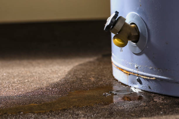 Best Residential water damage restoration  in Mesa, AZ
