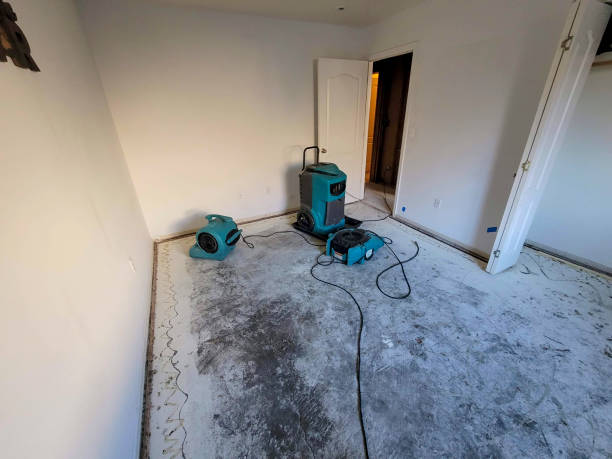 Best Water damage contractors near me  in Mesa, AZ