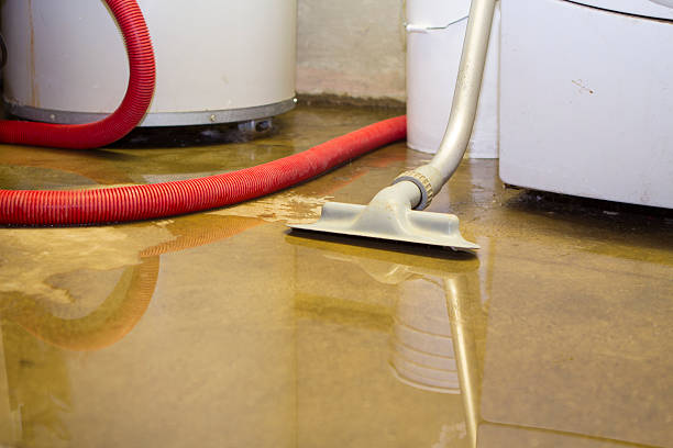 Best 24/7 water damage repair  in Mesa, AZ