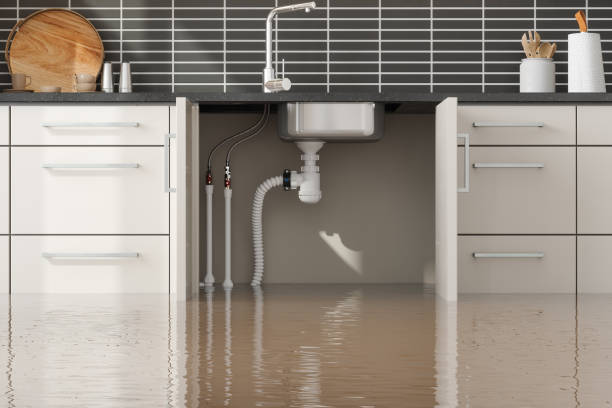 Best Professional water damage repair  in Mesa, AZ